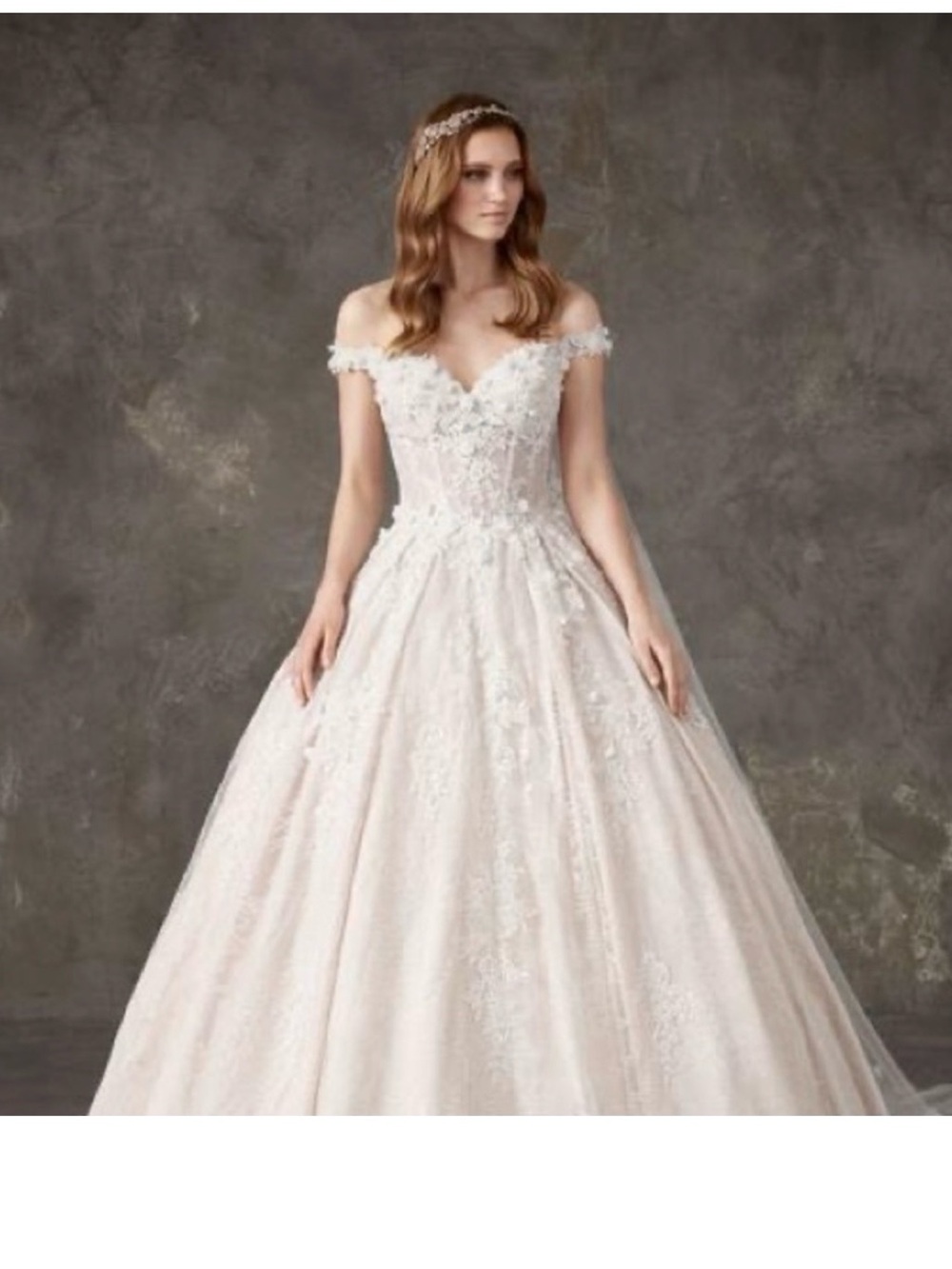 Pronovias Off-the-Shoulder Floral Lace Ball Gown in Ivory size 10